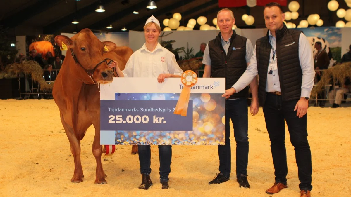 Lene Jensen modtog Topdanmarks Sundhedspris 2022 for femtekalvskoen VR Boxer x VR Fergus. Morten Hansen, formand for RDM, og Jesper Clausen, salgschef for storkundesegmentet hos TopDanmark (th.), overrakte prisen. Foto: Line Brusgaard