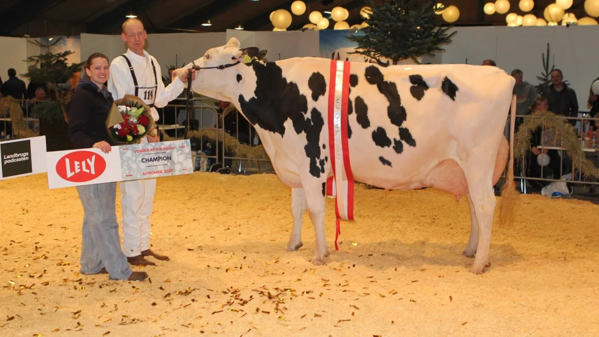 Champion Holstein: 14996-13239, Defiant RC x Aikman, fra Skovbakkegård, Regstrup. Fotos Line Brusgaard