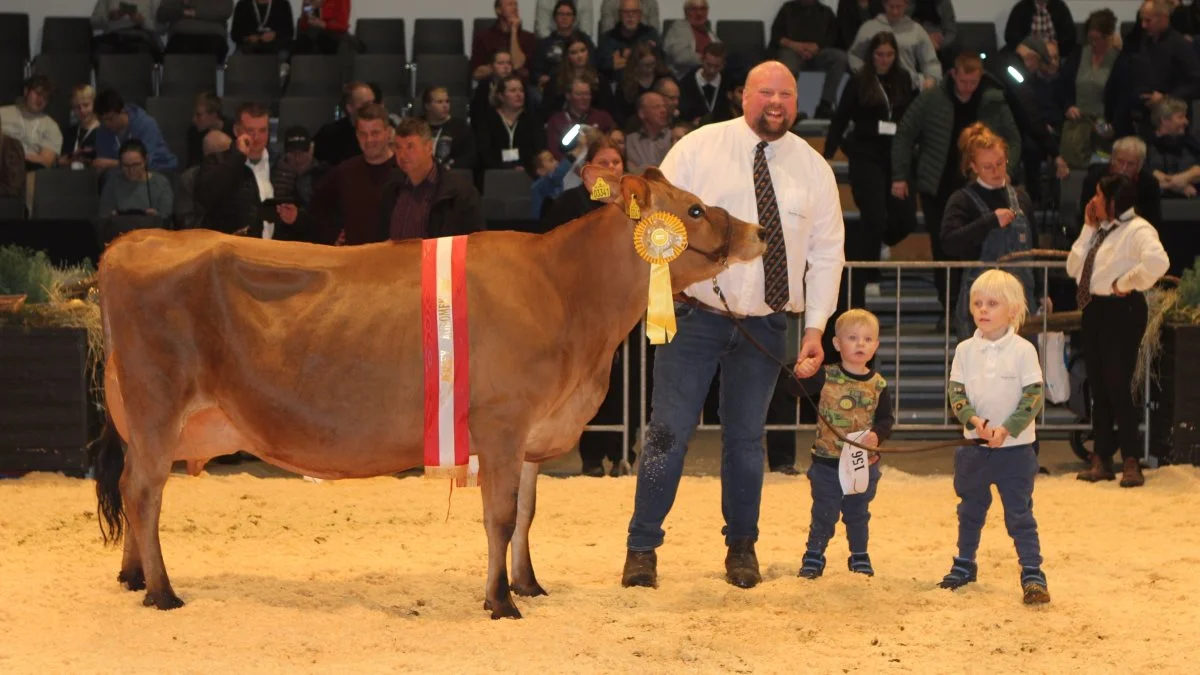 Champion Jersey: 59017-03341, VJ Lutu x VJ Janko, fra Sønderfenner ved familien Svejstrup Juul Rasmussen, Ribe.