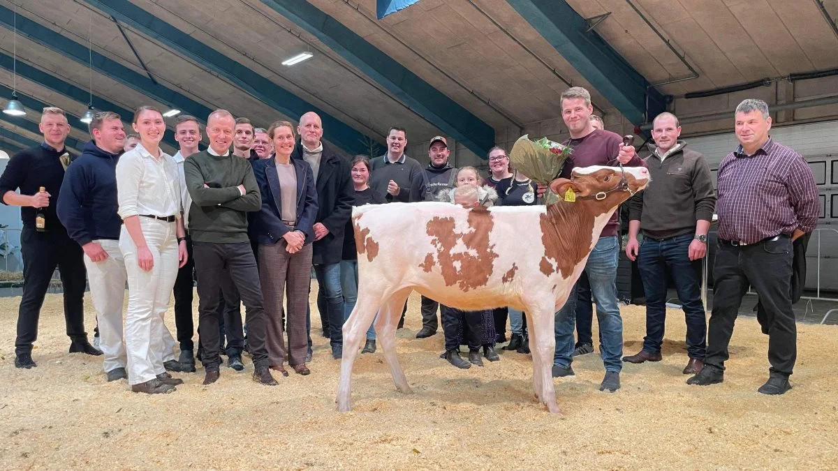 Avlsforeningen Dansk Holsteins auktion blev en vellykket affære. Højeste bud gik til en rødbroget kvie, hvis nye hjem fremover bliver på Sjælland. Her er den nye ejer foreviget sammen med opdrætter og teamet bag auktionen. Foto: Dansk Holstein