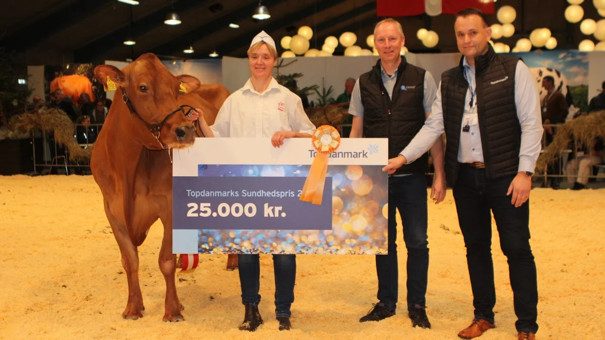 Lene Jensen modtog Topdanmarks Sundhedspris 2022 for femtekalvskoen VR Boxer x VR Fergus. Morten Hansen, formand for RDM, og Jesper Clausen, salgschef for storkundesegmentet hos TopDanmark (th.), overrakte prisen. Foto: Line Brusgaard