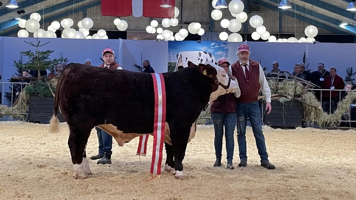 Fotos: Viking Danmark