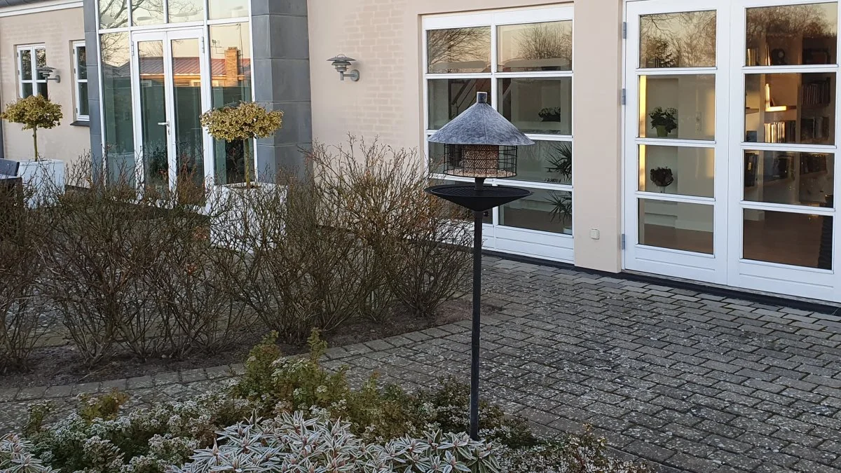 Fuglefoderhuset har en underskål og er tillige monteret på en glat stolpe, som rotter har meget svært ved at klatre op ad. Foto: Land & Fritid