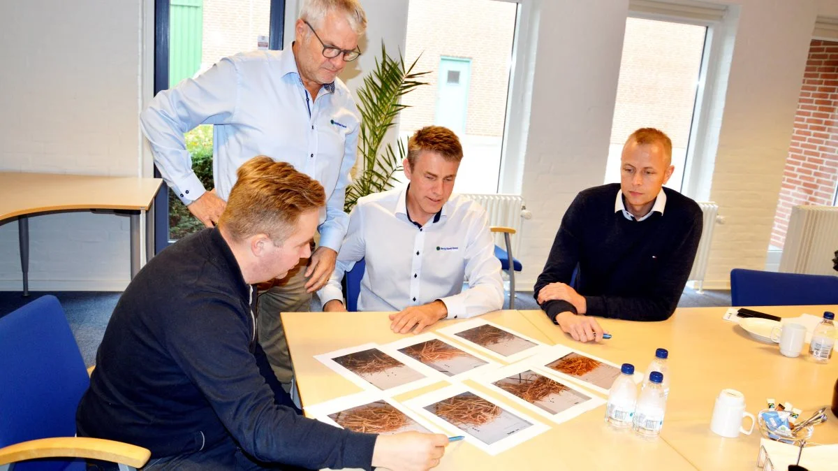 Toksinanalyser og halmprøver studeres nøje omkring bordet hos Vestjyllands Andel i Ringkøbing. Fra venstre Simon Skaarup Jensen, der er Technical Sales Manager for Svin ved det østrigske firma BIOMIN GmbH, Torben Jensen, produktchef ved VA, salgschef Brian Agerbo, VA og Per Runge, salgsleder hos VA.