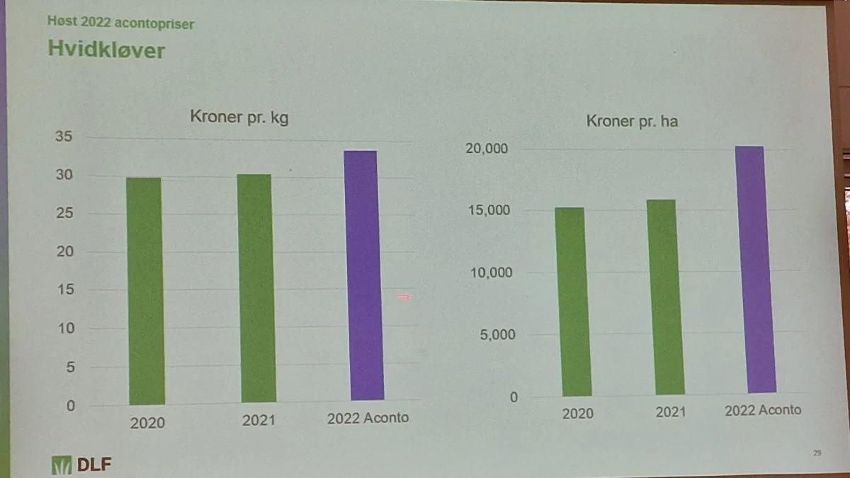 Acontobetaling for hvidkløver, som forventer DLF kommer ud med en pæn højere bruttoindtægt pr. hektar end foregående år. 