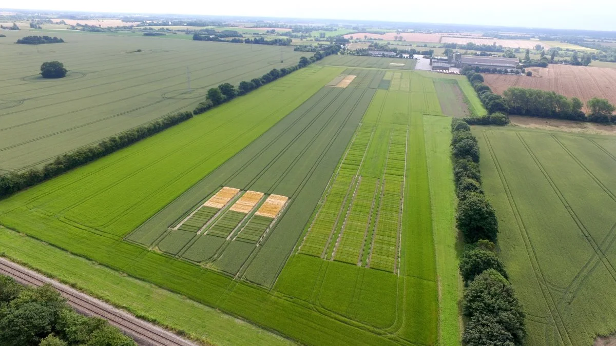 Landsforsøgene er meget omfattende over hele landet og giver hvert år stor erfaring fra vækståret. Arkivfoto