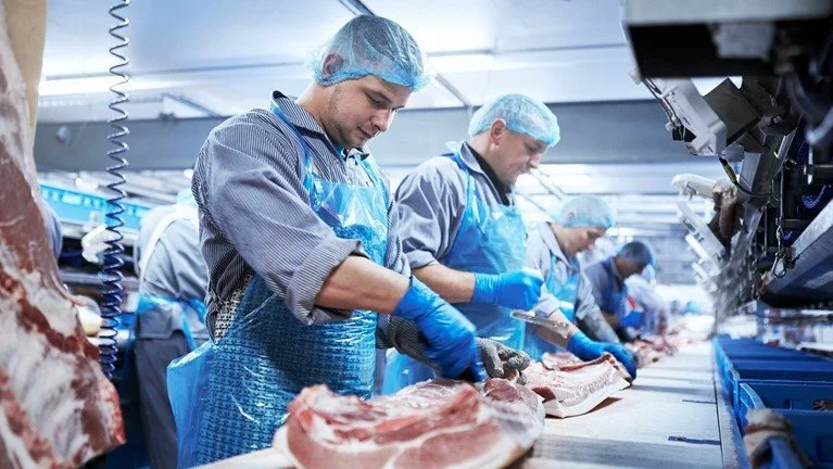 Resultatet på 1,8 millioner kroner hos DanePork er ikke tilfredsstillende, men skal ifølge ledelsen ses i lyset af massive investeringer i nye produktionsfaciliteter med efterfølgende indkøringsperiode. Foto: DanePork