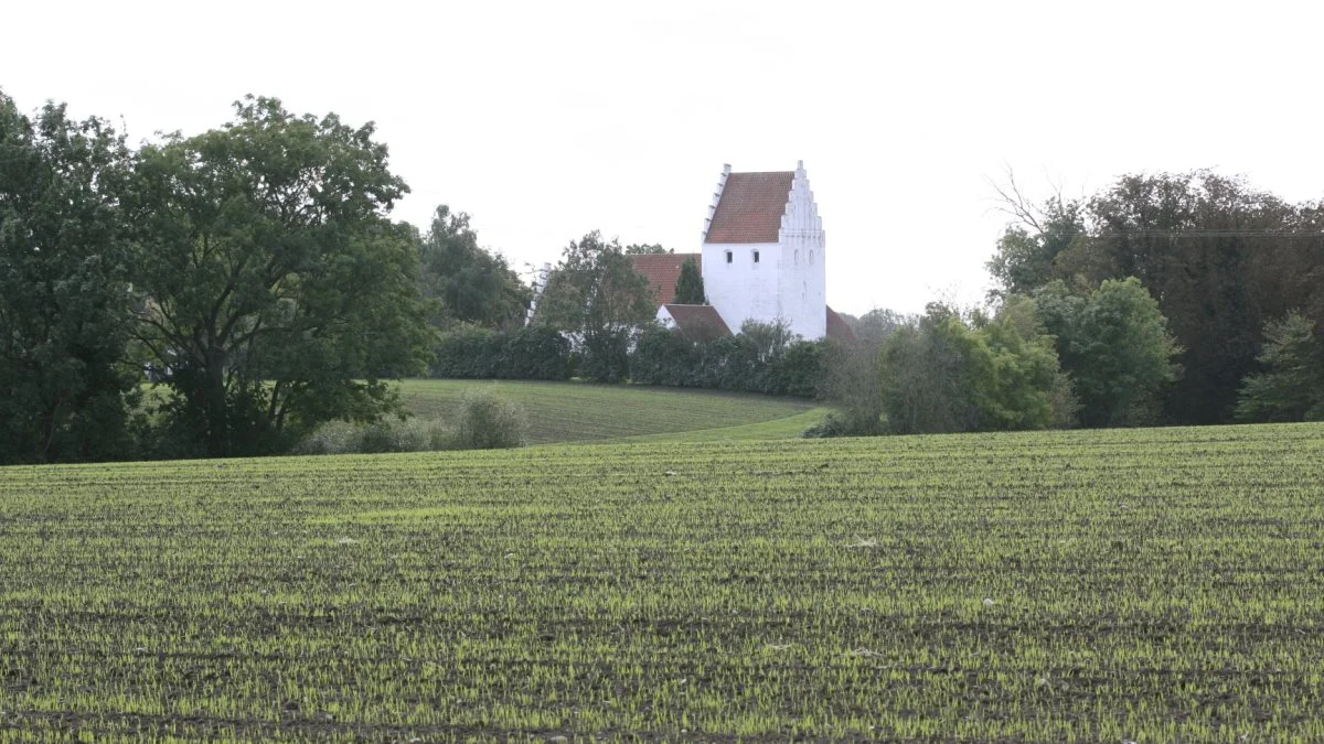 Regeringen vil styrke kulturen uanset postnummer. I regeringsgrundlaget betegnes kulturen som den danske identitet og den fælles historie, der binder danskerne sammen. Kultur og kirke har endda fået sit helt eget afsnit, hvor den danske evangelisk-lutherske kirke indtager en særstatus som folkekirke, som regeringen ønsker at bevare. Arkivfoto  