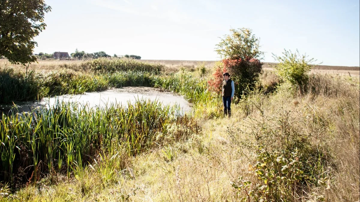 - Der er det pudsige ved natur, at man måske bare skal lade den være og passe sig selv. Vi landmænd er uddannede til at være driftige folk. Det ligger i vores dna. Naturen kan passe sig selv – helt selv. Og et af de bedste råd, vi giver, er nogle gange at holde fingrene fra det, siger jagt- og naturplejekonsulent Hanne Juncher Fris.