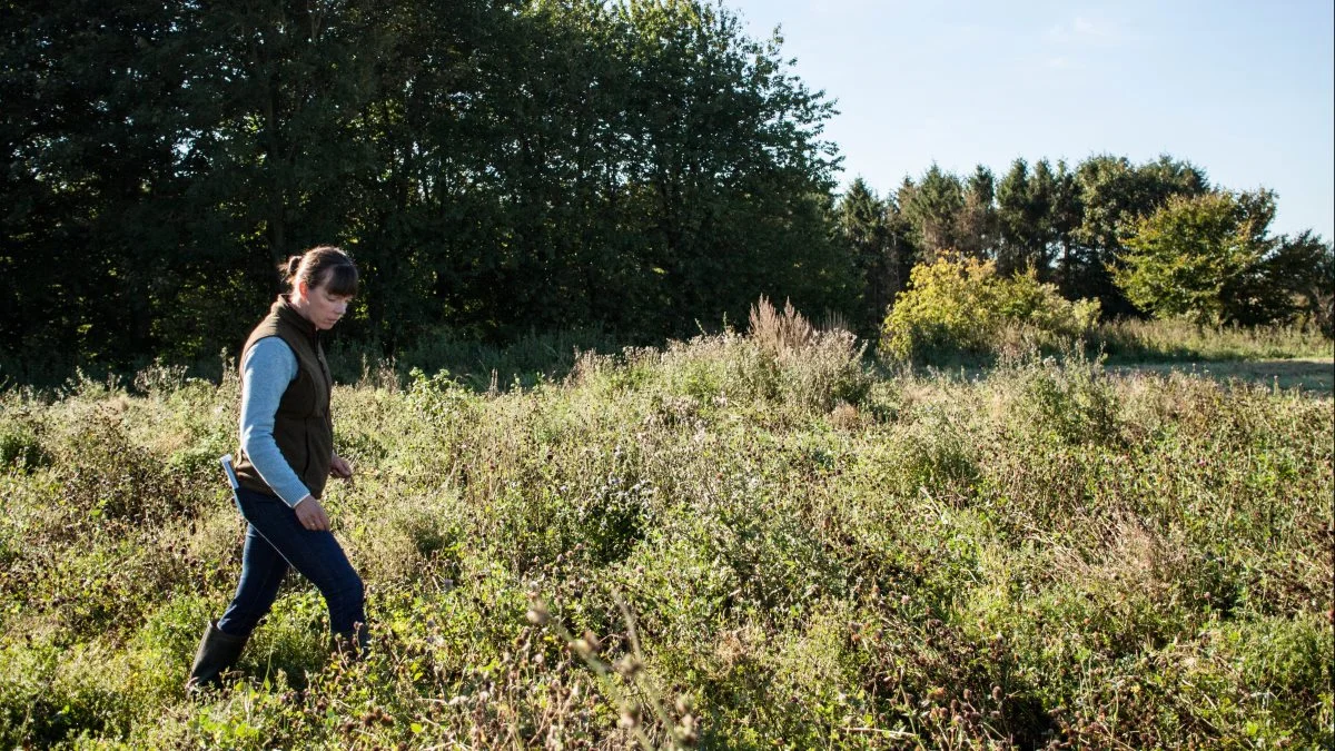 - Det er ikke rentabelt i dag at dyrke de små hjørner og kiler i marken. Det er en underskudsforretning. Udgifterne til brændstof og arbejdsløn er stigende. Og så har udviklingen i maskinstørrelser også gjort, at det ikke duer at kaste store maskiner ind i nogle af de der hjørner og kiler. Sådan har det udviklet sig, og det vil det blive ved med at gøre, konstaterer Hanne Juncher Fris.