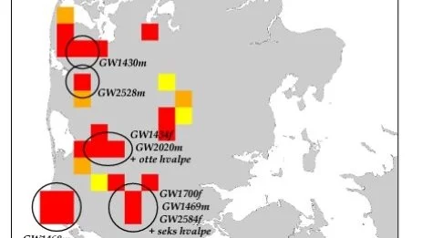 Her blev der observeret ulve i Danmark i andet kvartal af 2022. Kilde: Naturhistorisk Museum Aarhus og DCE – Nationalt Center for Miljø og Energi ved Aarhus Universitet