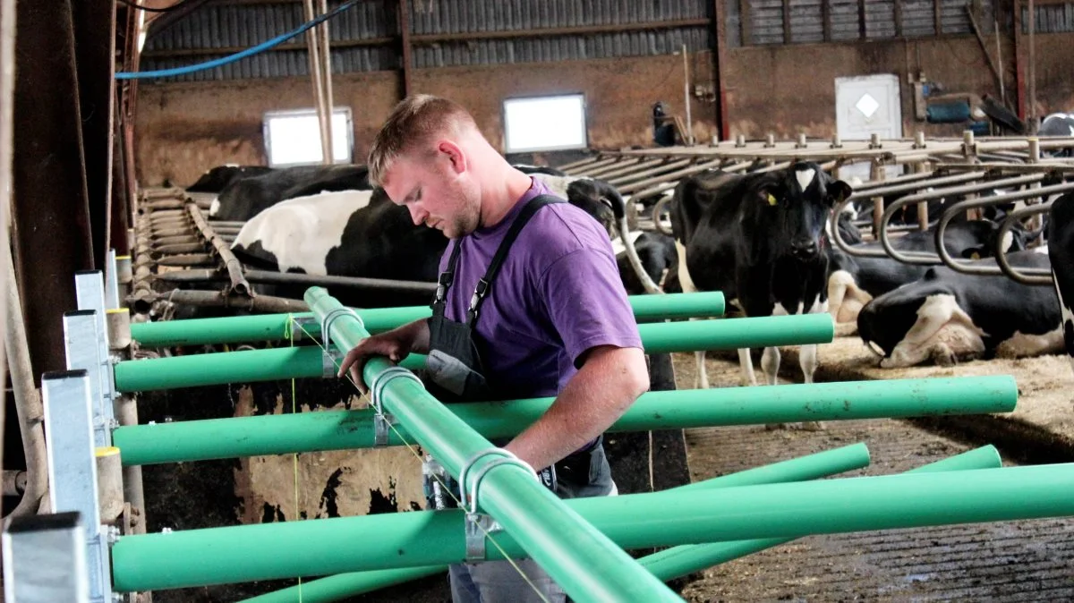 Cow-Welfare tilbyder andre landmænd at gøre som Karl Peter Mauritzen fra Skærbæk og få monteret en prøverække, så bedriftens egne køer kan bidrage til beslutningen om en eventuel renovering. 