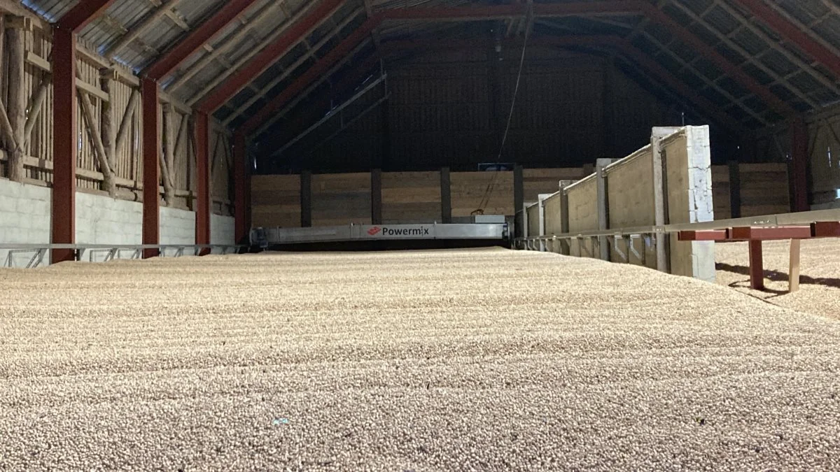 Fremavlsafgrøder kræver gode tørrings- og lagerfaciliter, hvilket også prioriteres i strategien for HSH Agro. 