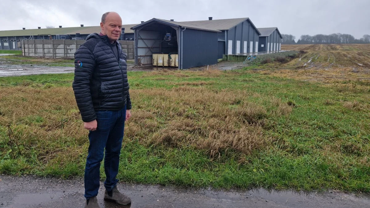 Jens Skovgaard-Jensen ved Hedensted kan ikke komme af med møget fra sine 65.000 høns i de to hønsehuse i baggrunden. Foto: Henning K. Andersen