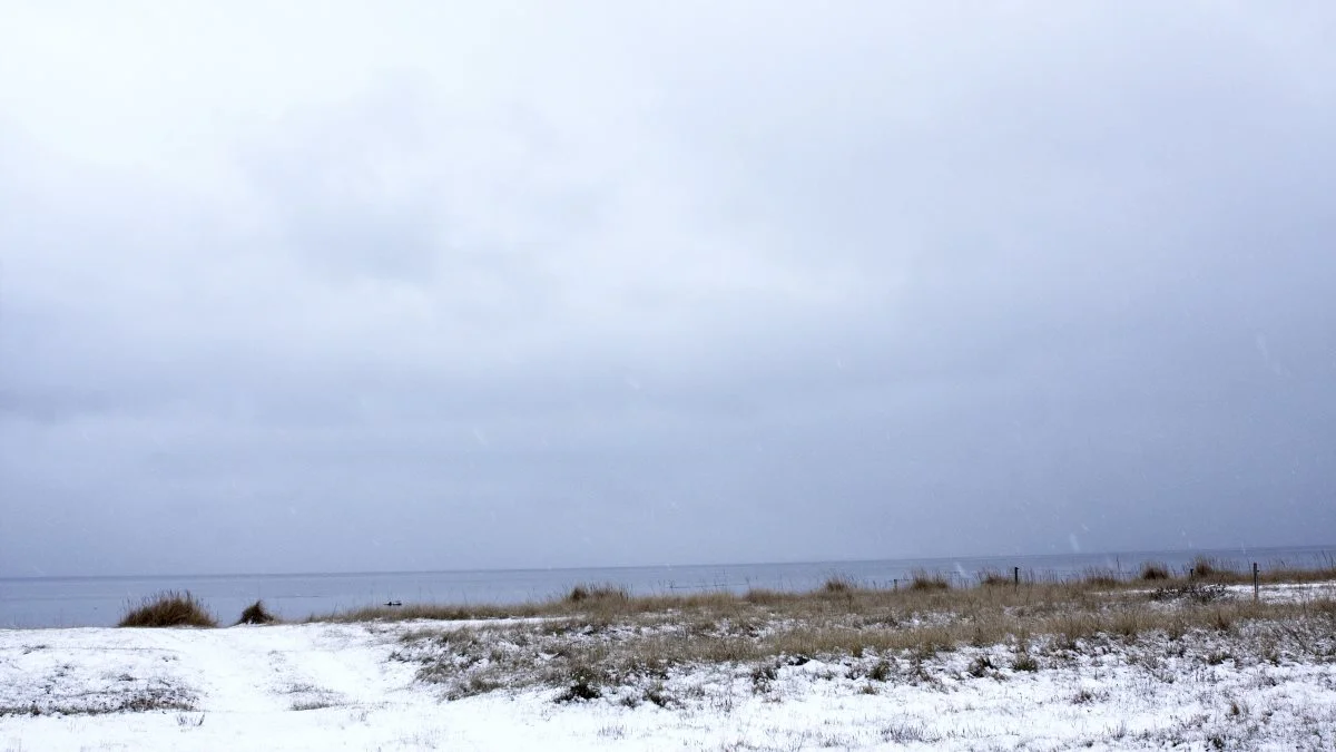 Et cafemøde, henvendt til deltidslandmænd, sætter fokus på lavbundsjorde omkring Viborg. Arkivfoto