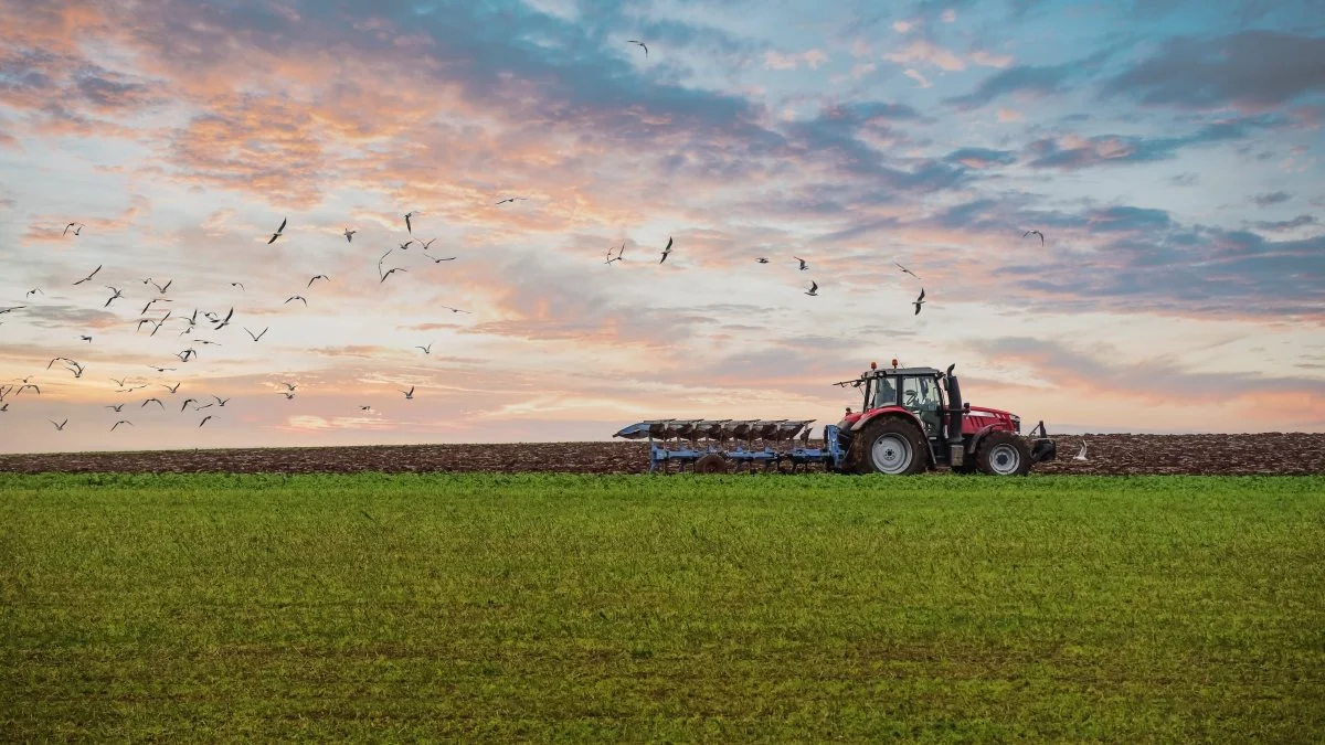 Tirsdag den 17. januar vises en online paneldebat om udviklingen på det økologiske marked i Europa, som det EU-støttede projekt Made in Nature og italiensk CSO Italy står bag. Foto: Made in Nature og CSO Italy