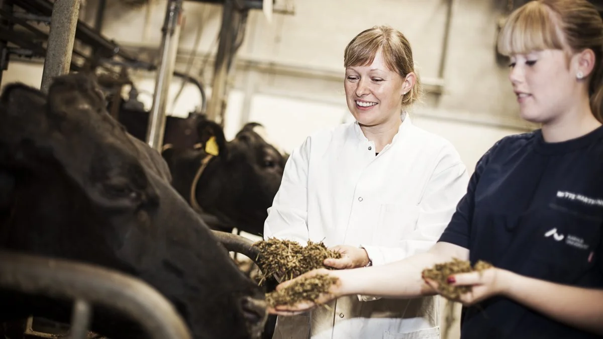 AU Viborg huser i alt 120.000 kvadratmeter laboratorier og forskningsfaciliteter fordelt blandt forskere fra en række af universitetets institutter. Foto: Jesper Rais/AU Foto. 