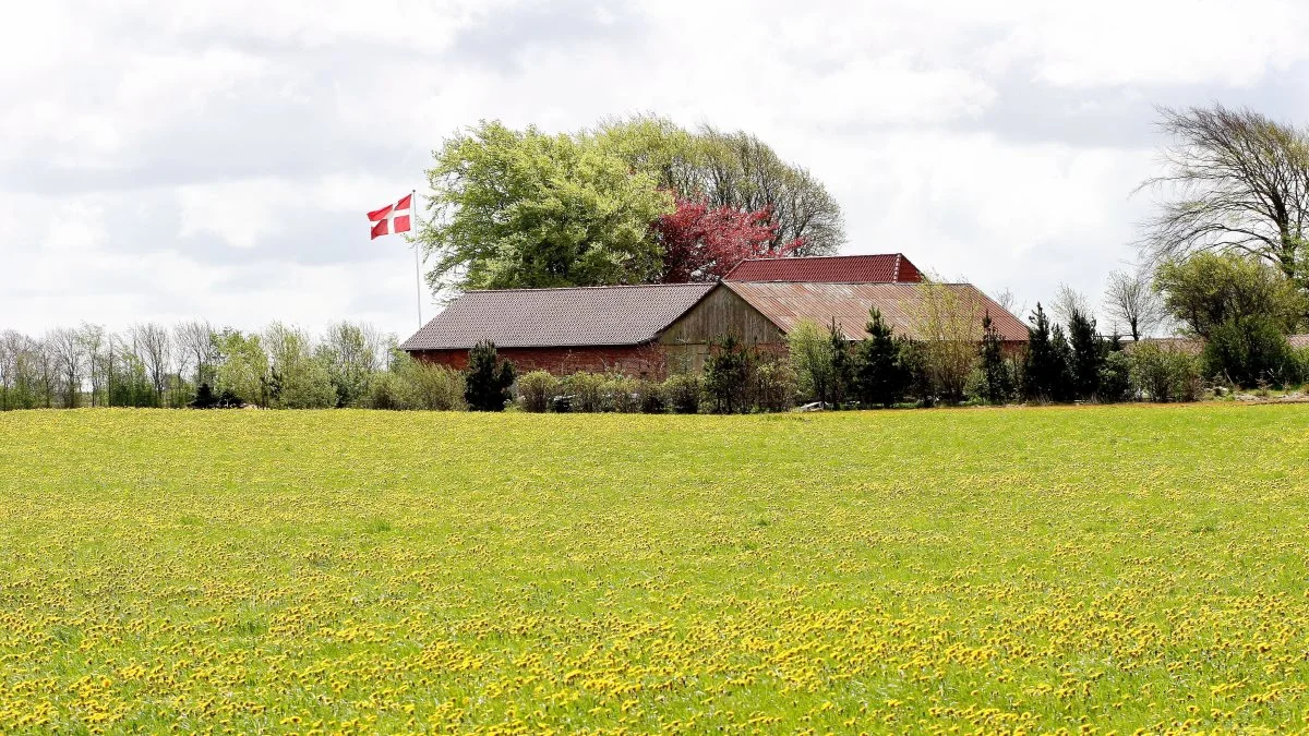 Der er for mange benspænd for mindre landbrugsbedrifter i den danske udmøntning af CAP-reformen, siger Familielandbruget og Bæredygtigt Landbrug: Foto: Arkivfoto