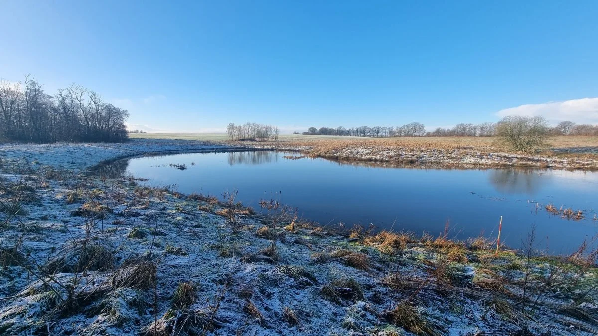 Minivådområder som dette nær Vojens og Haderslev er del af de kollektive virkemidler, der skal bidrage til at nå målene i landbrugspakken. Foto: Anders Lei