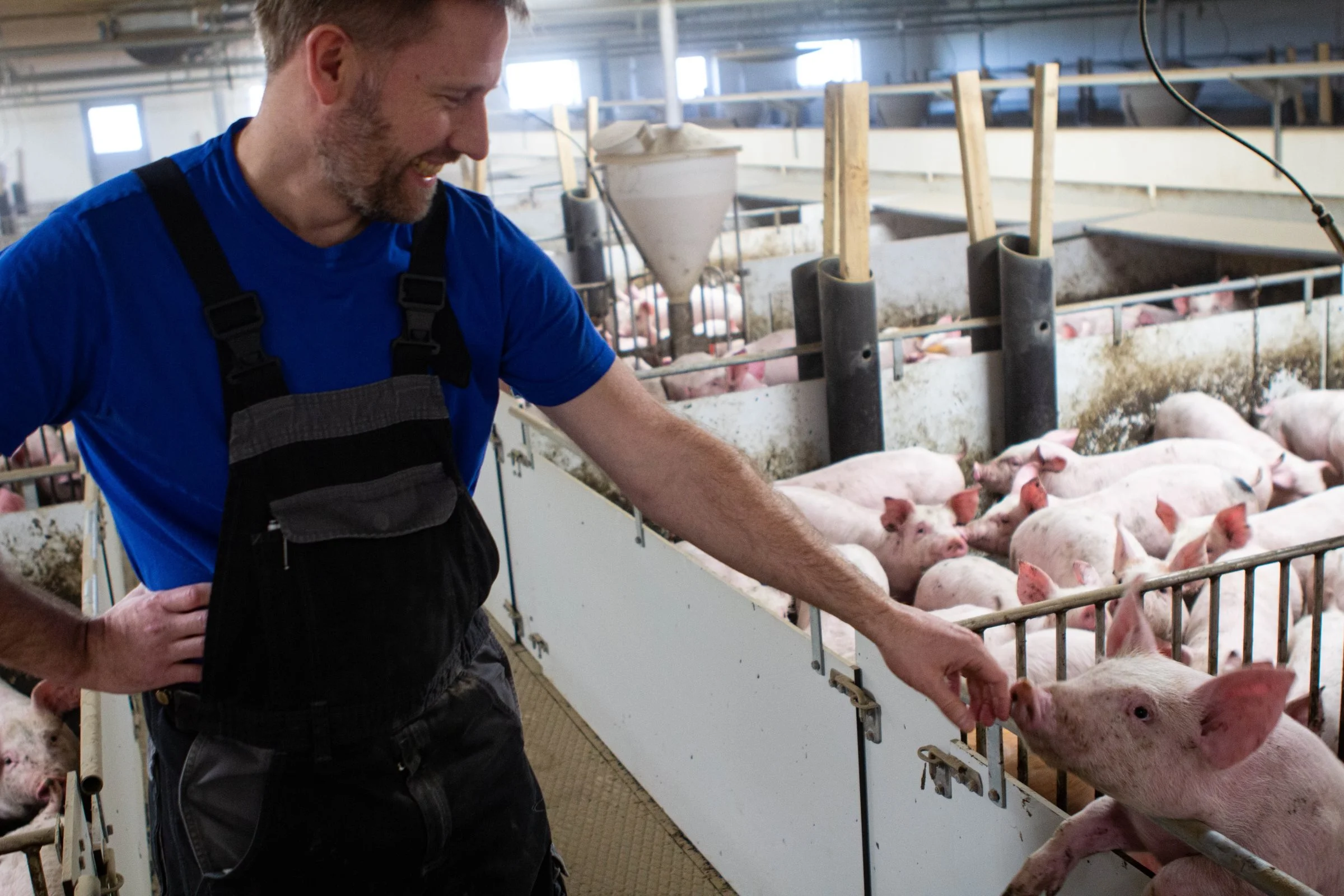 - Efter vi er begyndt at holde sektioneringen 100 procent i smågrisestalden, ser det – 7-9-13 – ud til at virke, fortæller Kristoffer Hald. Foto: Anne Wolfenberg