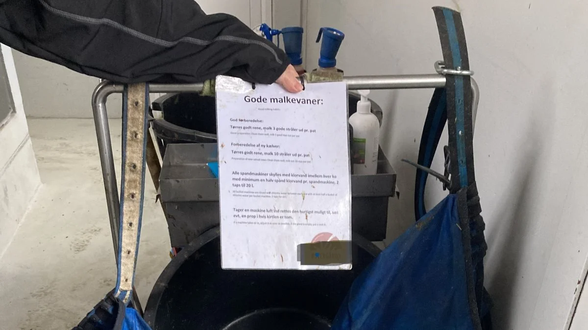Kunsten er at få medarbejderne til at mærke, at lederen har tillid til, at de kan klare opgaverne selv, men samtidig skal man være i nærheden, hvis de får brug for hjælp. Fotos: KvægXperten