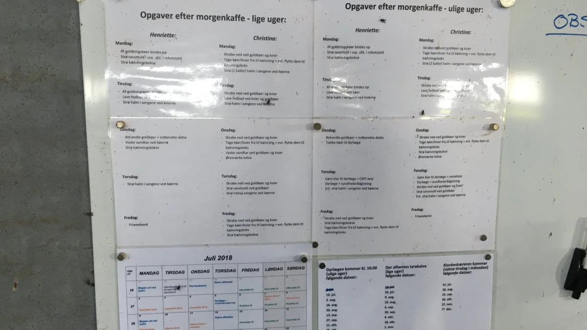 Motivationen starter allerede ved oplæring af medarbejdere. Vi skal fange medarbejderens opmærksomhed.
