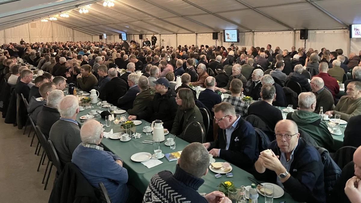 Over 600 mennesker var med, da Mollerup Mølle inviterede til fest på Aalborg Havn. Fotos: Mollerup Mølle