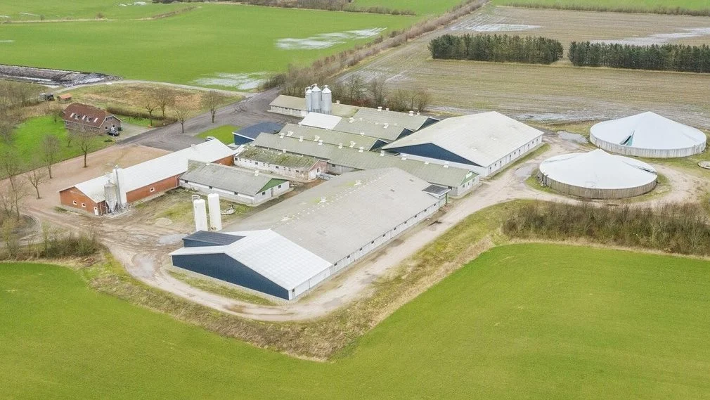 Amstrupgård ved Bækmarksbro i Vestjylland er blevet solgt. Den var en del af Danpiglets oprrindeligt syv ejendomme. Foto: Hekto&Co