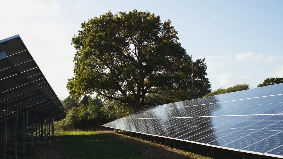 Solcelleparkerne skal opføres i Danmark, Polen og Sverige. Foto: Better Energy