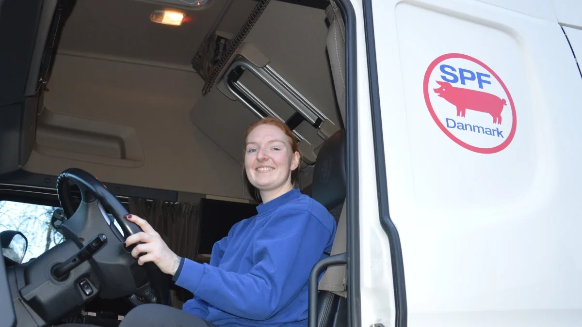 Det er næsten med lys i øjnene og stolthed i stemmen, når Cecilie Petersen fortæller om, hvor spændende og varieret en hverdag hun har som transportør af smågrise. Fotos: Camilla Bønløkke