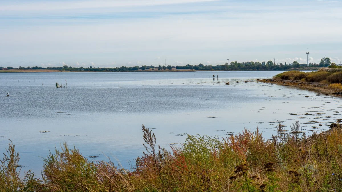 Odense Fjord. Foto: Mathias Horslev Holm