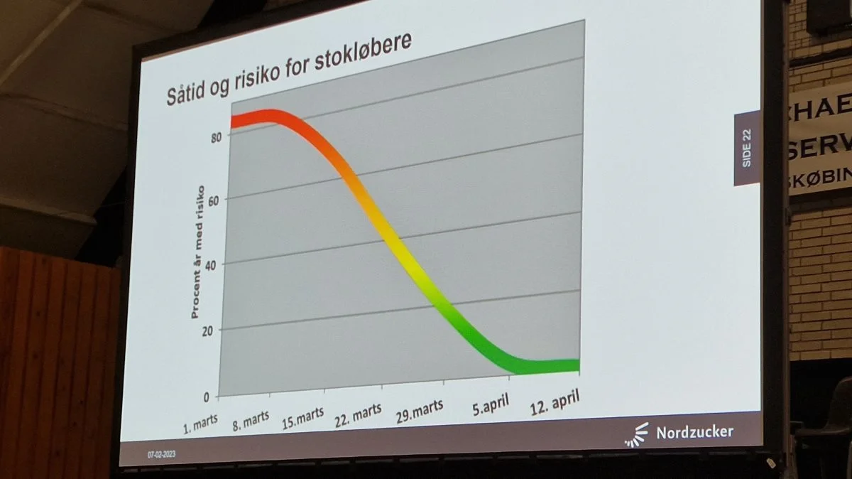 Det er primært tidlig såning før 22. marts, der fremmer stokløbere i roesorter, der har denne tendens - og i mindre grad frost og temperatur.