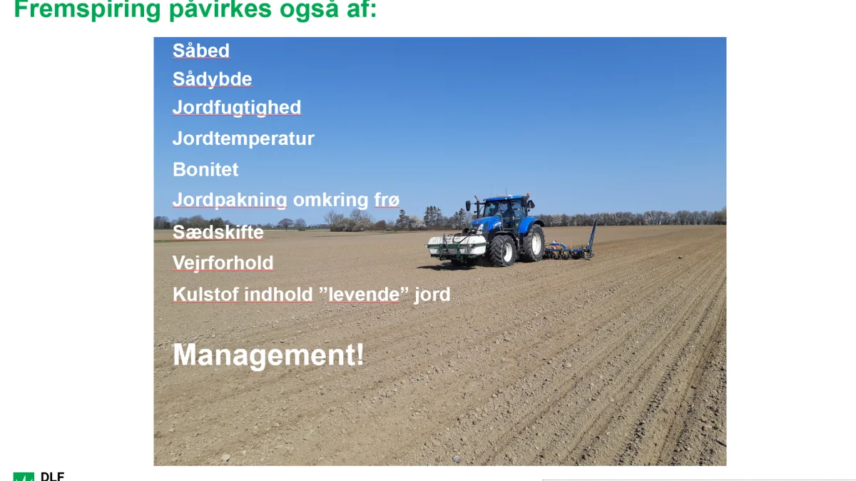 Hvad der påvirker fremspiring af sukkerroerne efter såning var et hovedemne på dagen. Her oplistet af DLF Beet Seed.