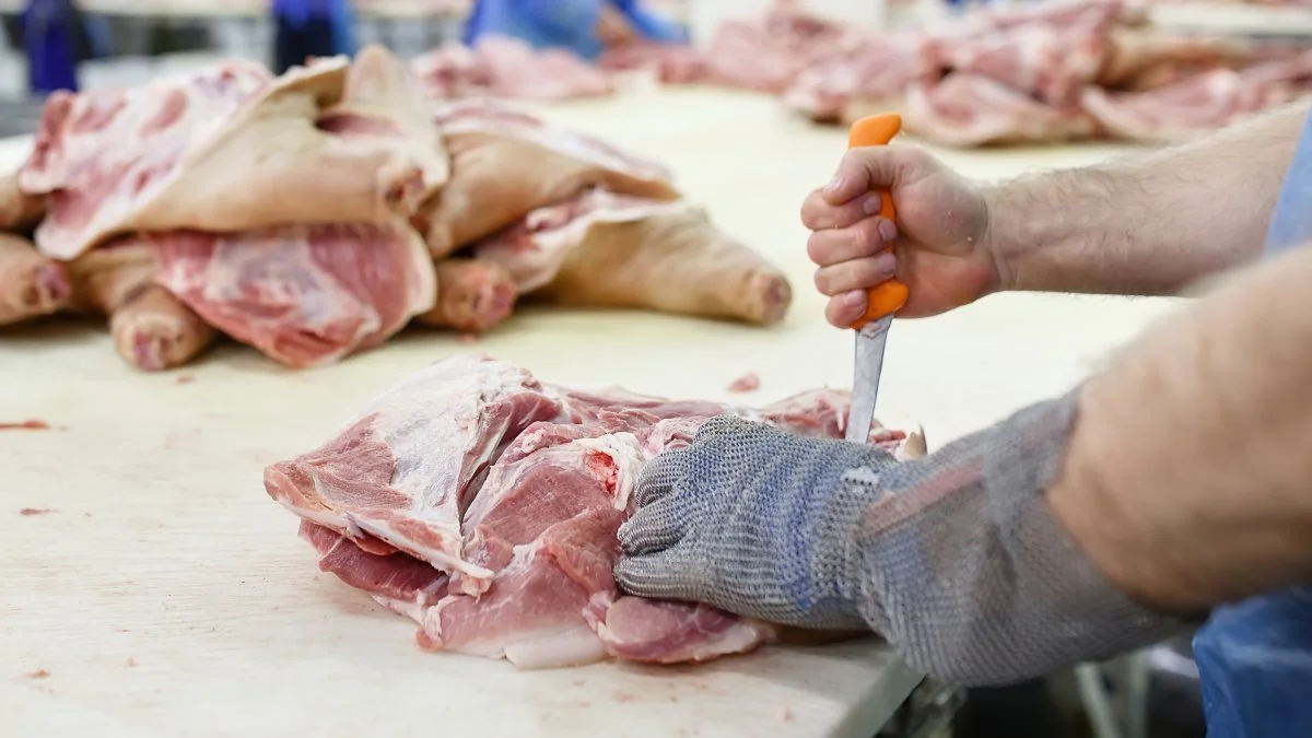 Forventningen er, at der vil ske et fald i produktionen af grisekød hos de store eksportørlande, hvorimod produktionen stiger hos flere af de traditionelle importørlande. Foto: Colourbox