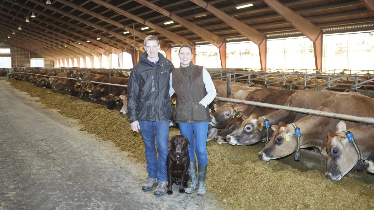 Den 18. marts sidste år måtte Louise de Place i hast køre til kæresten Jens Hemming Madsens fodboldtræning for at få klaret underskriften på købet af Dongsgaard sammen med erhvervsmanden Kurt Brusgaard Poulsen. Næste middag stod han klar til at forestå driften af besætningen på 1.250 jerseykøer. Foto: Erik Hansen