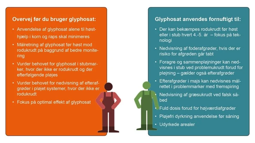 Begræns glyphosat ved forhold nævnt i den røde boks, mens glyphosat bør reserveres til forhold nævnt i den grønne boks. Fra Landbrug & Fødevarers pesticidhandlingsplan.