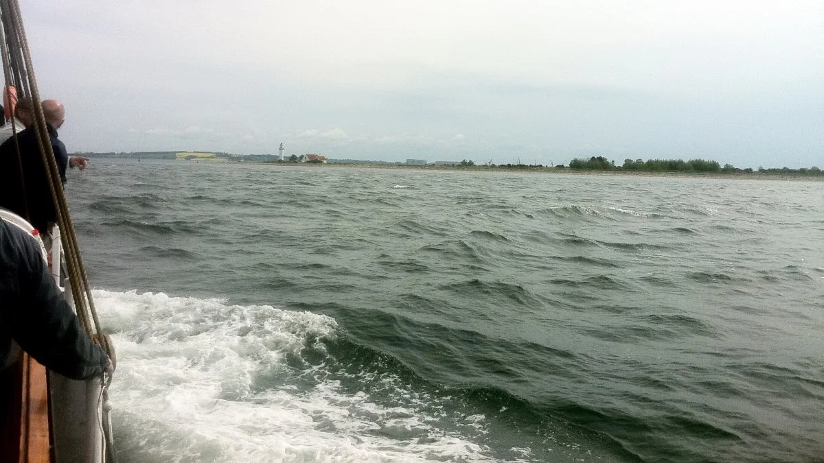 Viborg-, Ringkøbing-Skjern-, Varde- og Odense Kommune skal nu undersøge, om der er andre metoder til at opnå god økologisk tilstand i hav og fjorde end at begrænse kvælstofudledningen fra land. Her er det Odense Fjord. Arkivfoto: Jacob Lund-Larsen