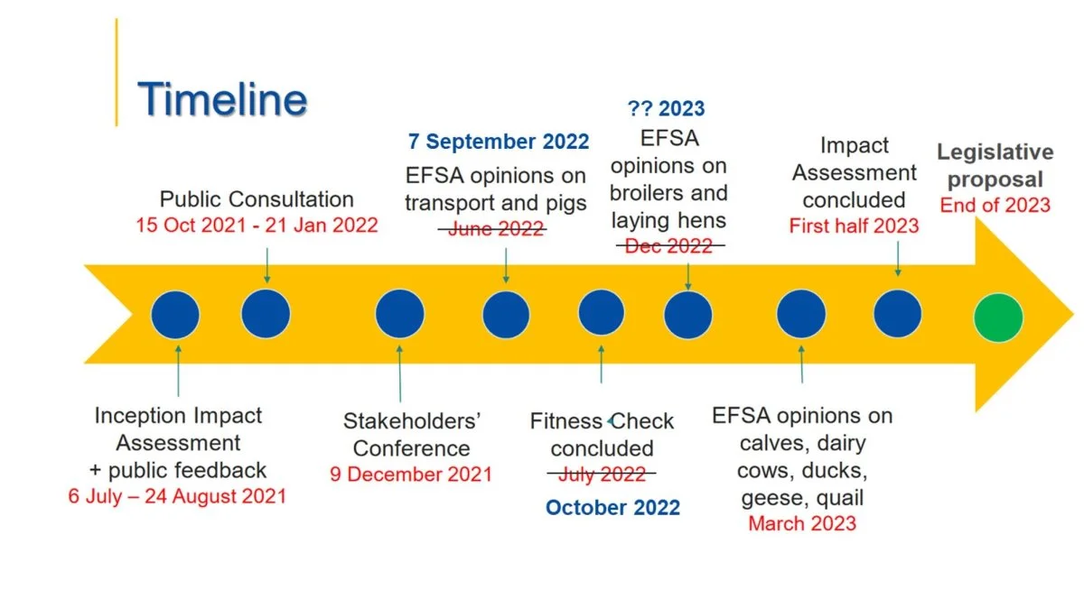 Den planlagte tidslinje for EU’s revidering af dyrevelfærdslovgivningen, og hvordan det reelt er gået. Opinions på fjerkræ og drøvtyggere er endnu ikke offentliggjort. Kommissionens Impact Assessment skal dog være afsluttet i første halvår af 2023. Det betyder ifølge European Livestock Voice, at der skal gives input til, hvilke omkostninger der vil være forbundet med ændring af dyrevelfærdslovgivningen for visse husdyr, inden de foreslåede ændringer er kendt. Kilde: European Livestock Voice