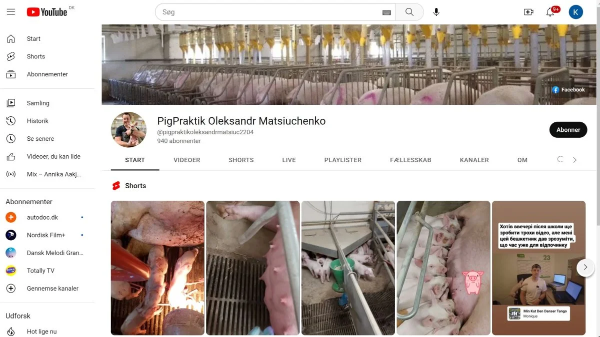 På YouTube-kanalen »PigPraktik Oleksandr Matsiuchenko« deler ukrainske Oleksandr Matsiuchenko ud af sin store praktiske viden om svineproduktion, som både har bragt Nylund sohold og smågrisestald på Mors i top-10.