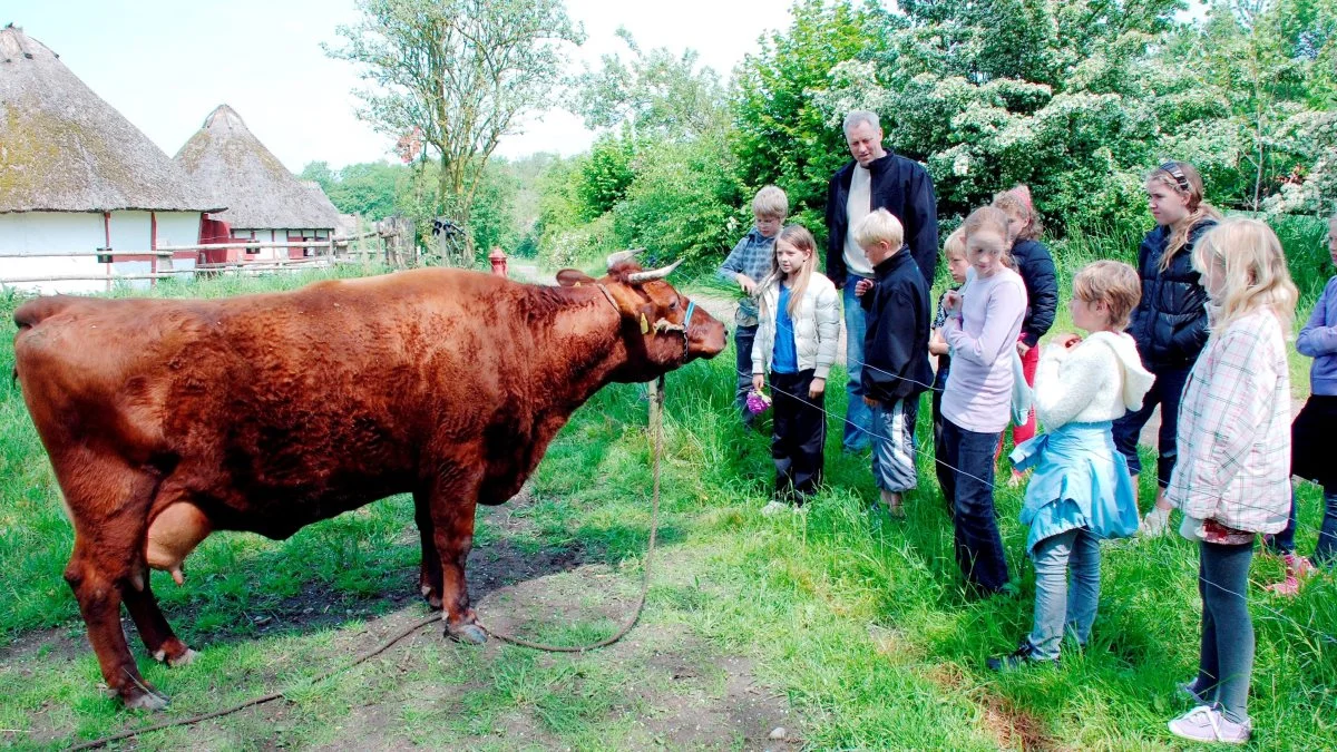 Danskerne har prioriteret at komme ud at opleve ting i løbet af 2023. Her ses et billede med en skoleklasse på besøg i Den Fynske Landsby. Arkivfoto