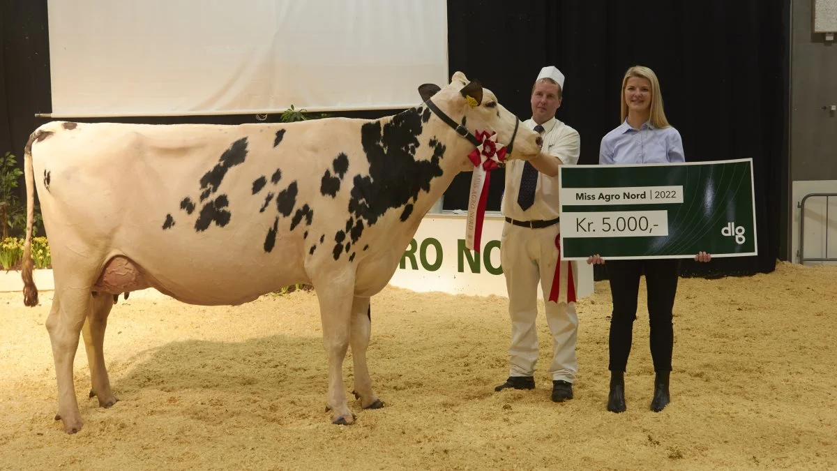 Sidste år vandt 2. kalvs Kahuna-datteren fra Raunhøj Dairy, Hjortshøj.