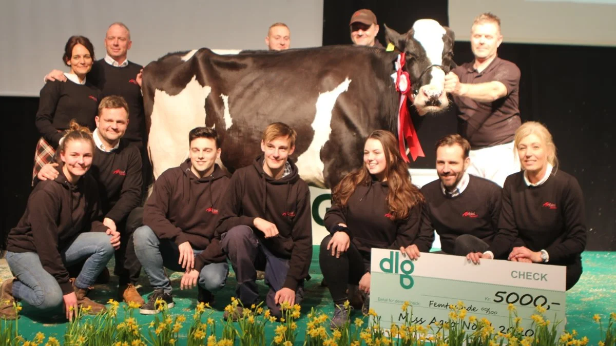 I 2020 blev 3. kalvs Mikosh CR-datter fra Anderstrup Holstein, Skørping, udpeget som Miss Agro Nord.