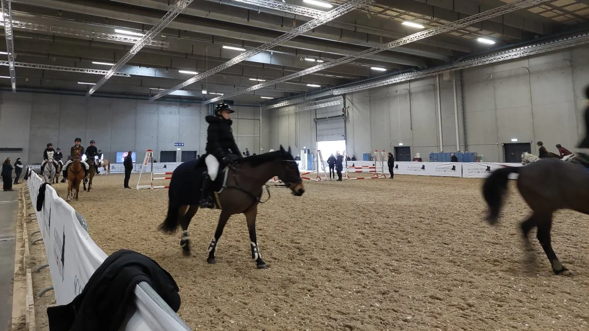 Deltagere ved Scandinavia Jumping Tour havde i år fået to baner at varme op og motionere hestene på.
