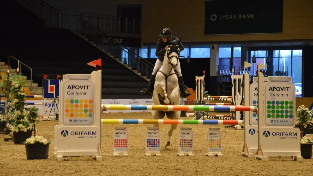 Distrikt- og landsstævnet Scandinavia Jumping Tour blev for tredje gang afholdt med succes. Fotos: Camilla Bønløkke