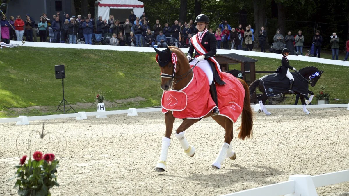 Cathrine Laudrup-Dufour skal være testrytter for dressurhestene i Herning. Arkivfotos: Camilla Bønløkke