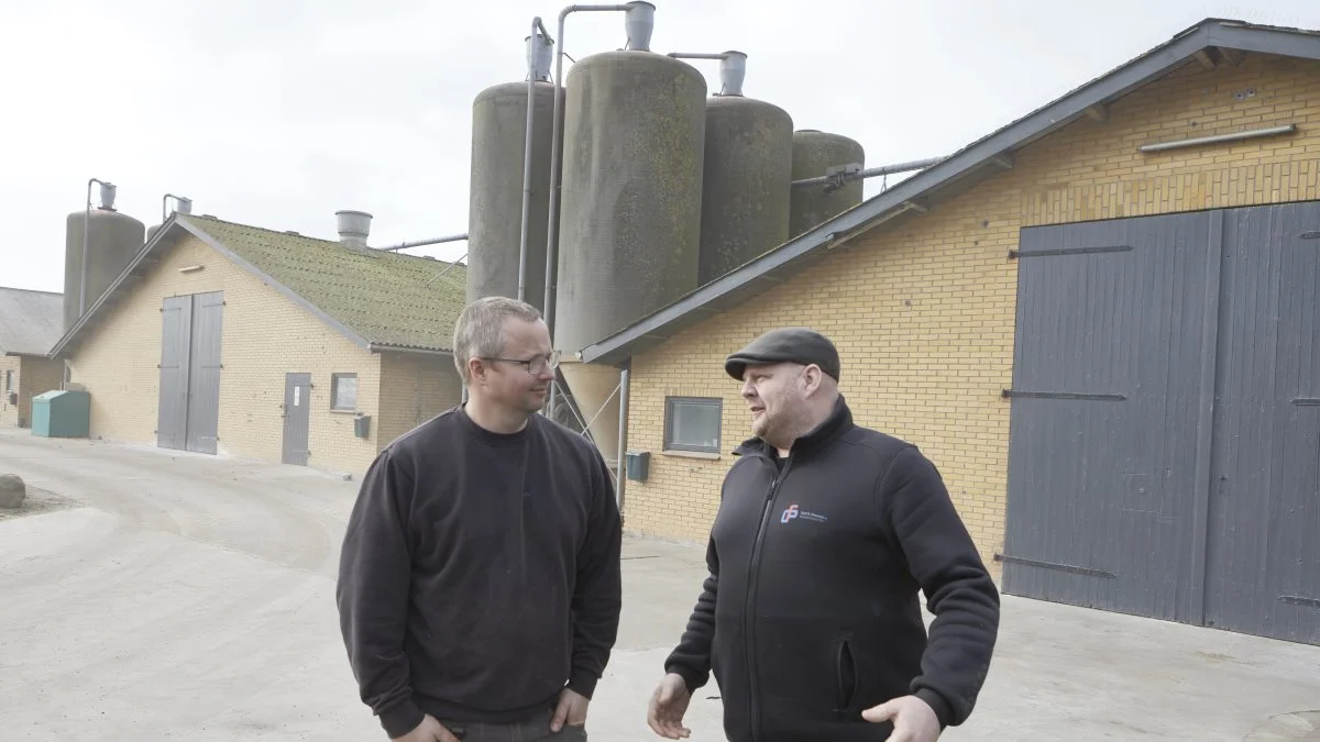 Direktør Henrik Brodersen (th) fra Carl Fr. Petersen Maskinværksted i Løgumkloster glæder sig over mulighed for at følge og teste virksomhedens produkter med de valide data fra stald 3 hos Jørgen Jørgensen, Skovhave Landbrug på Nordals. Fotos: Erik Hansen