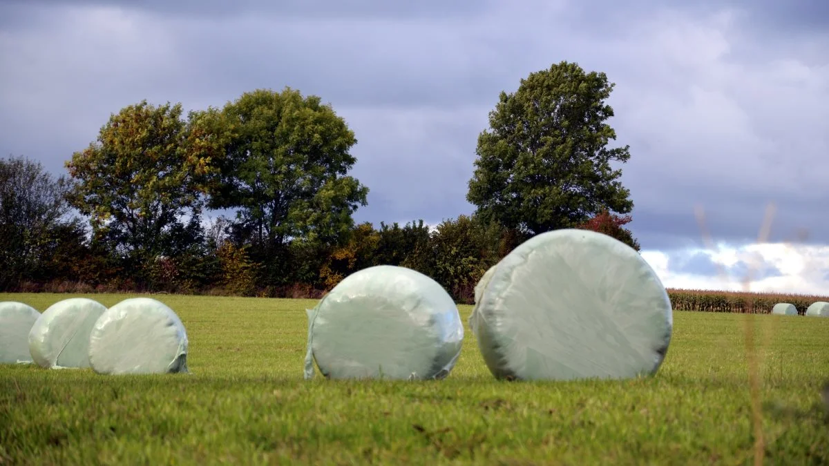 Landbrug & Fødevarer og Miljøstyrelsen har sammen udarbejdet informationsmateriale om plastsortering i landbruget, som kan bidrage til det politiske mål om 50 procent udsortering af plast til genanvendelse i 2025 og 80 procent i 2030. Arkivfoto: Camilla Bønløkke