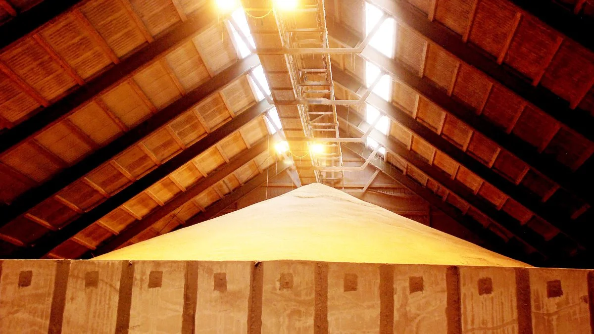 Trods problemerne med at få fragtet korn ud af Ukraine, er der stadig fyldte lagre i det krigshærgede land, og det er med til at presse priserne på blandt andet hvede nedad. Arkivfoto