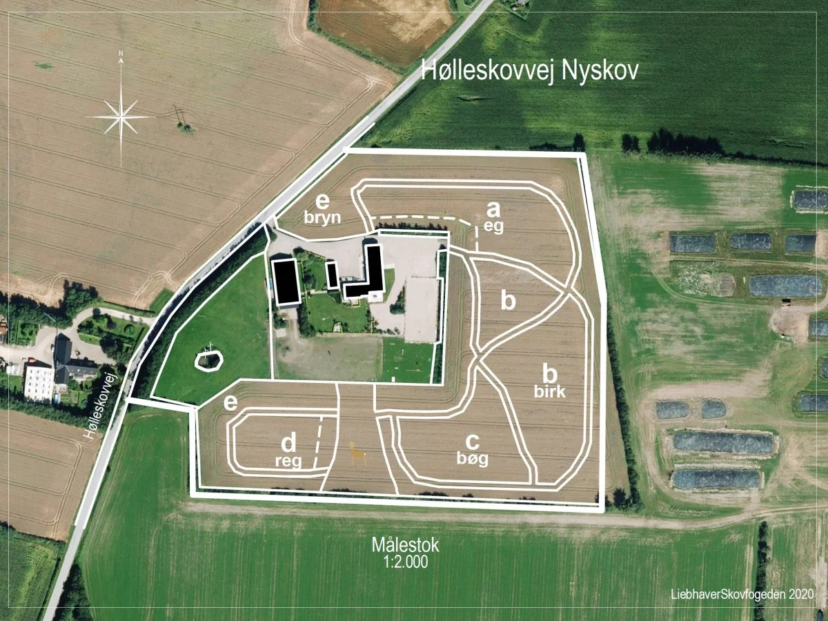 Pia Krichaus design af skov ved Hølleskovvej Nyskov.