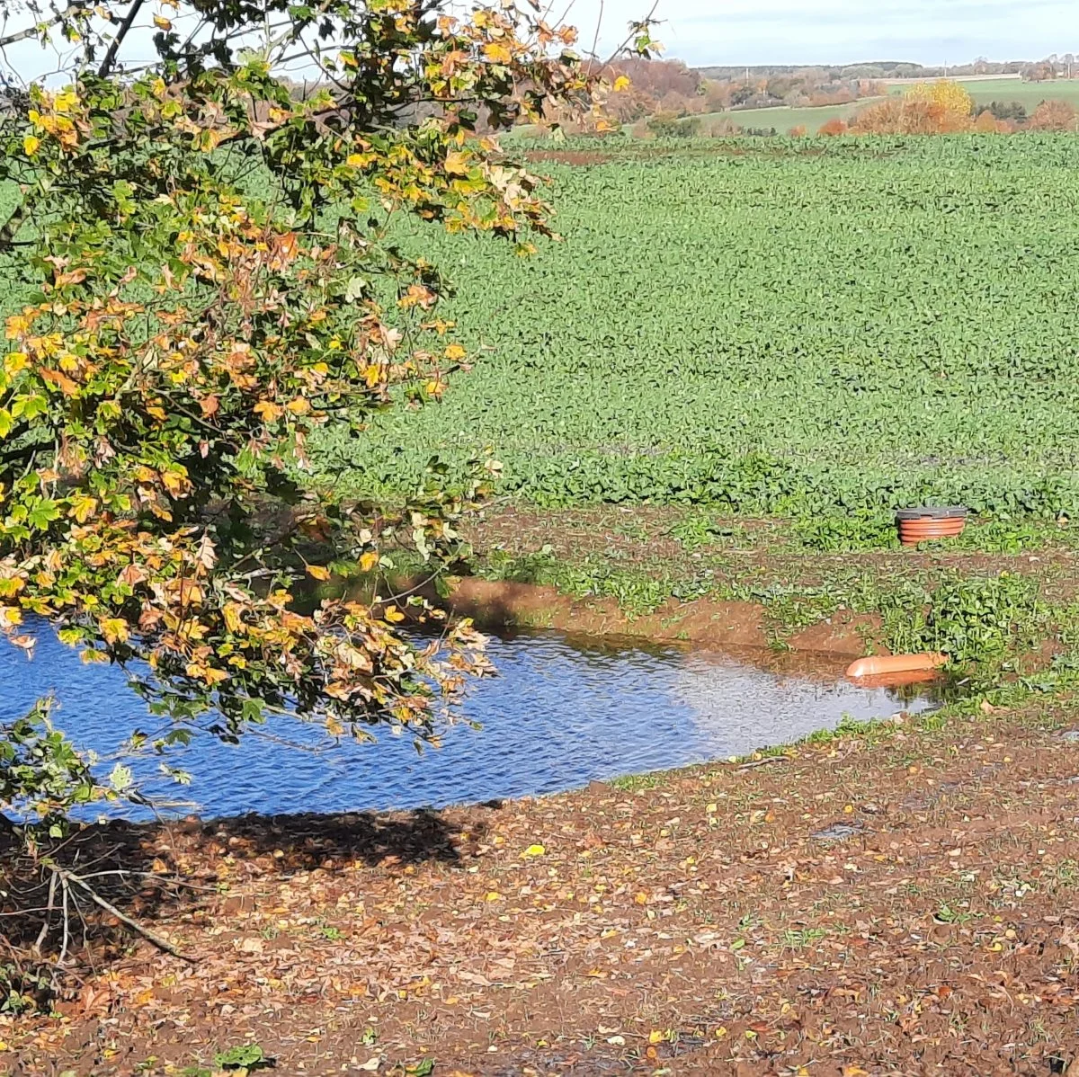 Drænede landbrugsarealer i Danmark er kortlagte. Det er vigtig viden for eksempel i forbindelse med minivådanlæg. Arkivfoto: John Ankersen


